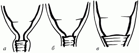 1001 вопрос будущей мамы. Большая книга ответов на все вопросы 1001 вопрос будущей мамы. Большая книга ответов на все вопросы