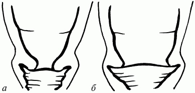 1001 вопрос будущей мамы. Большая книга ответов на все вопросы 1001 вопрос будущей мамы. Большая книга ответов на все вопросы