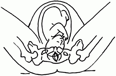 1001 вопрос будущей мамы. Большая книга ответов на все вопросы 1001 вопрос будущей мамы. Большая книга ответов на все вопросы