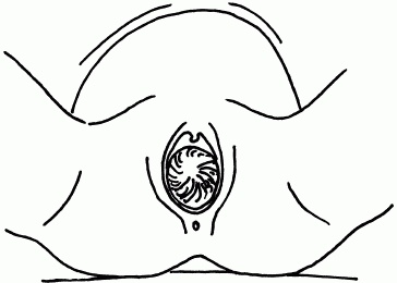 1001 вопрос будущей мамы. Большая книга ответов на все вопросы 1001 вопрос будущей мамы. Большая книга ответов на все вопросы