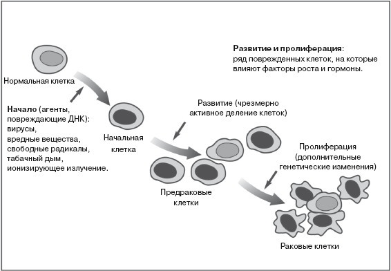 Ваша жизнь в ваших руках. Как понять, победить и предотвратить рак груди и яичников