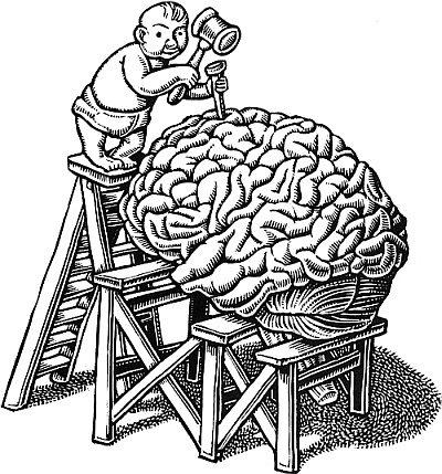 Тайны мозга вашего ребенка