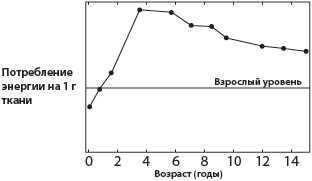 Тайны мозга вашего ребенка