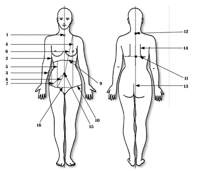 Гимнастика для внутренних органов Гимнастика для внутренних органов