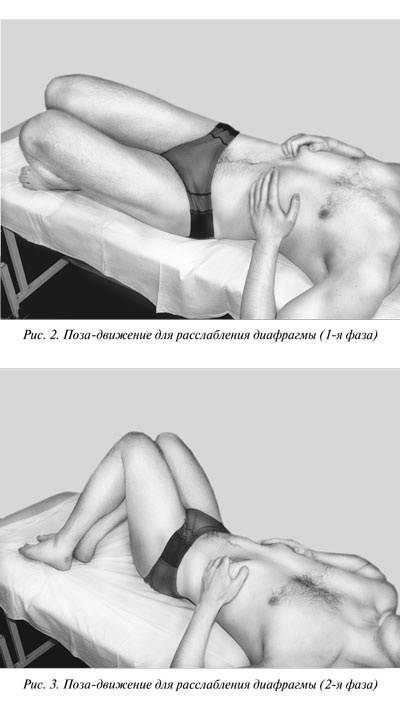 Гимнастика для внутренних органов Гимнастика для внутренних органов