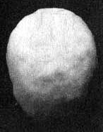 Измените свой мозг - изменится и жизнь! Измените свой мозг - изменится и жизнь!