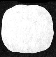 Измените свой мозг - изменится и жизнь! Измените свой мозг - изменится и жизнь!