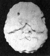 Измените свой мозг - изменится и жизнь! Измените свой мозг - изменится и жизнь!