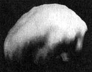 Измените свой мозг - изменится и жизнь! Измените свой мозг - изменится и жизнь!