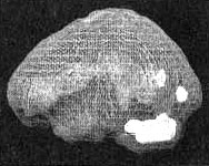 Измените свой мозг - изменится и жизнь! Измените свой мозг - изменится и жизнь!