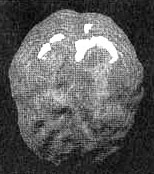 Измените свой мозг - изменится и жизнь! Измените свой мозг - изменится и жизнь!