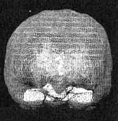 Измените свой мозг - изменится и жизнь! Измените свой мозг - изменится и жизнь!
