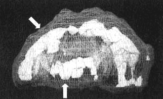 Измените свой мозг - изменится и жизнь! Измените свой мозг - изменится и жизнь!