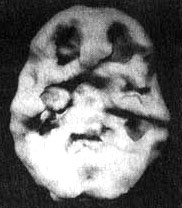 Измените свой мозг - изменится и жизнь! Измените свой мозг - изменится и жизнь!