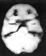 Измените свой мозг - изменится и жизнь! Измените свой мозг - изменится и жизнь!