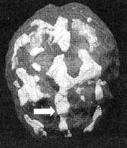 Измените свой мозг - изменится и жизнь! Измените свой мозг - изменится и жизнь!