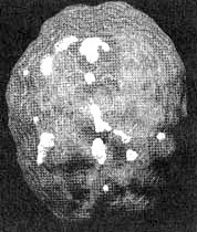 Измените свой мозг - изменится и жизнь! Измените свой мозг - изменится и жизнь!