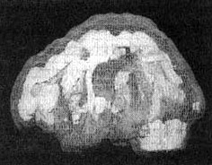Измените свой мозг - изменится и жизнь! Измените свой мозг - изменится и жизнь!