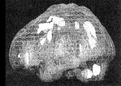 Измените свой мозг - изменится и жизнь! Измените свой мозг - изменится и жизнь!