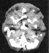 Измените свой мозг - изменится и жизнь! Измените свой мозг - изменится и жизнь!