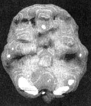 Измените свой мозг - изменится и жизнь! Измените свой мозг - изменится и жизнь!