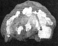 Измените свой мозг - изменится и жизнь! Измените свой мозг - изменится и жизнь!