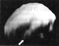 Измените свой мозг - изменится и жизнь! Измените свой мозг - изменится и жизнь!