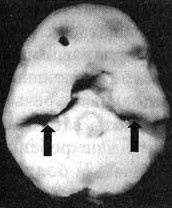 Измените свой мозг - изменится и жизнь! Измените свой мозг - изменится и жизнь!