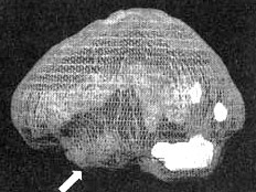 Измените свой мозг - изменится и жизнь! Измените свой мозг - изменится и жизнь!