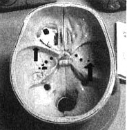 Измените свой мозг - изменится и жизнь! Измените свой мозг - изменится и жизнь!