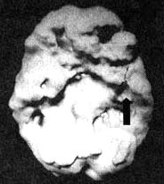 Измените свой мозг - изменится и жизнь! Измените свой мозг - изменится и жизнь!