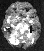 Измените свой мозг - изменится и жизнь! Измените свой мозг - изменится и жизнь!