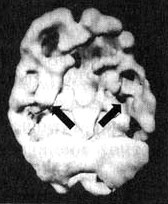 Измените свой мозг - изменится и жизнь! Измените свой мозг - изменится и жизнь!