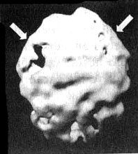 Измените свой мозг - изменится и жизнь! Измените свой мозг - изменится и жизнь!