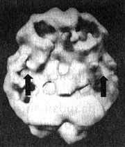 Измените свой мозг - изменится и жизнь! Измените свой мозг - изменится и жизнь!