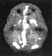 Измените свой мозг - изменится и жизнь! Измените свой мозг - изменится и жизнь!