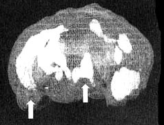 Измените свой мозг - изменится и жизнь! Измените свой мозг - изменится и жизнь!
