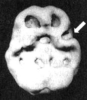 Измените свой мозг - изменится и жизнь! Измените свой мозг - изменится и жизнь!