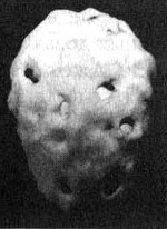 Измените свой мозг - изменится и жизнь! Измените свой мозг - изменится и жизнь!