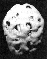 Измените свой мозг - изменится и жизнь! Измените свой мозг - изменится и жизнь!