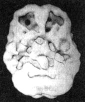 Измените свой мозг - изменится и жизнь! Измените свой мозг - изменится и жизнь!