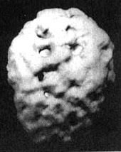 Измените свой мозг - изменится и жизнь! Измените свой мозг - изменится и жизнь!