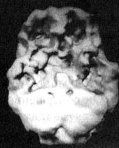 Измените свой мозг - изменится и жизнь! Измените свой мозг - изменится и жизнь!