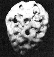 Измените свой мозг - изменится и жизнь! Измените свой мозг - изменится и жизнь!