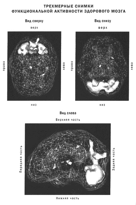 Мозг и душа. Новые открытия о влиянии мозга на характер, чувства, эмоции Мозг и душа. Новые открытия о влиянии мозга на характер, чувства, эмоции