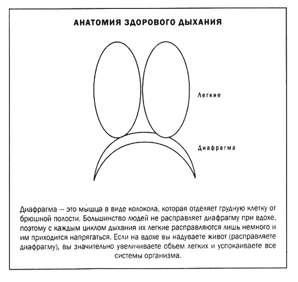 Мозг и душа. Новые открытия о влиянии мозга на характер, чувства, эмоции