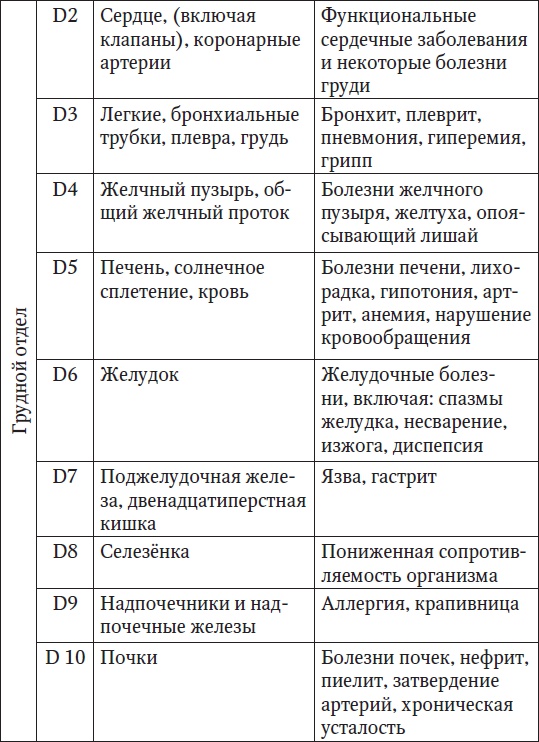 Ваш здоровый позвоночник Ваш здоровый позвоночник