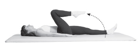 Ваш здоровый позвоночник Ваш здоровый позвоночник