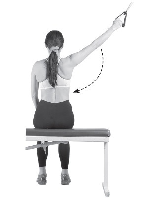 Ваш здоровый позвоночник Ваш здоровый позвоночник