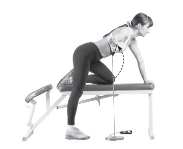 Ваш здоровый позвоночник Ваш здоровый позвоночник